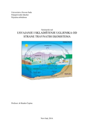 Usvajanje i skladištenje ugljenika od stranetravnatih ekosistema