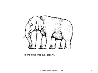 Investicijske studije