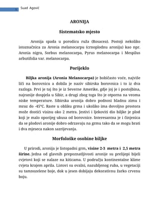 Aronija: sistematsko mesto, morfološke osobine, uslovi uzgoja i lekovitost