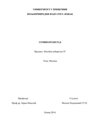 Proizvodnja malina u Srbiji: od berbe do zamrzavanja