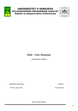 Familija Rosaceae – Ruze