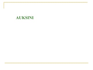 Auksini: koordinacija rasta i diferencijacije