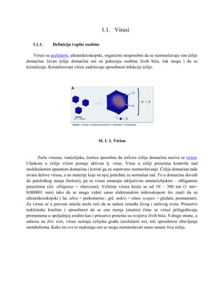Virusi: definicija, građa, podela i umnožavanje