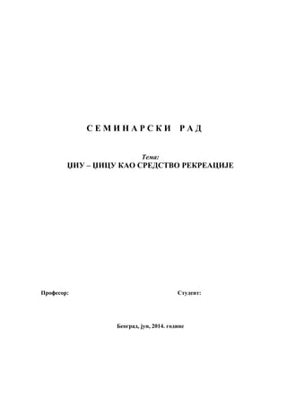 Džiu – džicu kao sredstvo rekreacije