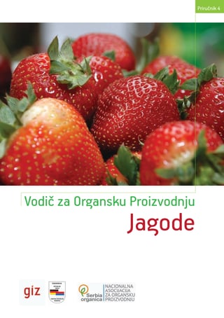 Vodič za organsku proizvodnju jagode