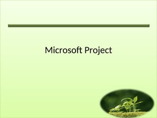 MS-Project