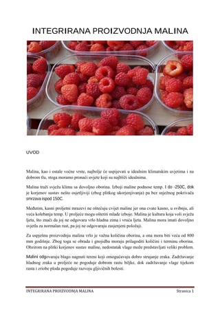 Integrirana proizvodnja malina