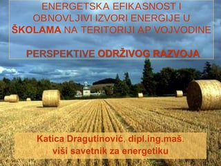 Energetska efikasnost