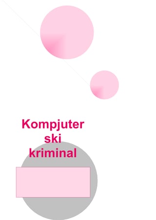 Kompjuterski kriminal