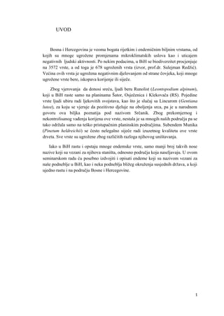 Endemske biljne vrste planinskih područja Bosne i Hercegovine