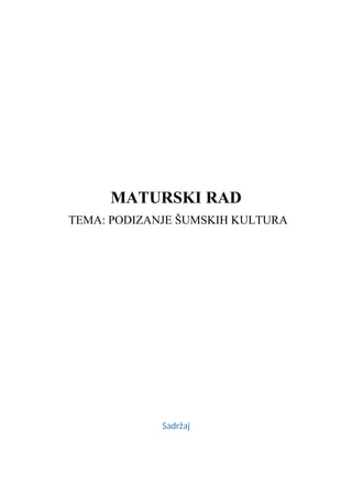 Podizanje šumskih kultura