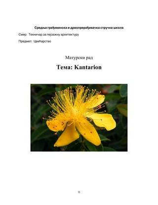 Kantarion: maturski rad