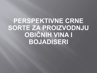 Perspektivne crne sorte i bojadiseri