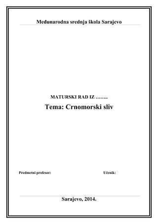 Crnomorski sliv