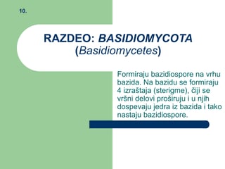 Fitopatologija-Basidiomycetes