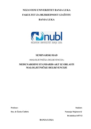 Međunarodni standardi iz oblasti maloletničke delikvencije