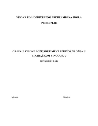 Gajenje vinove loze,sortiment i prinos grozdja u Vinarackom vinogorju