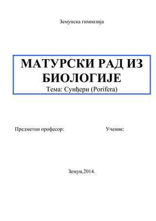 Sunđeri (porifera): maturski rad iz biologije