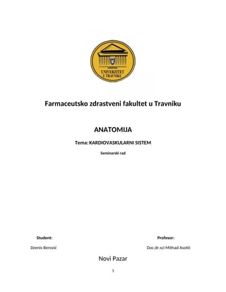 Kardiovaskularni sistem