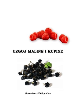 Uzgoj kupine i maline