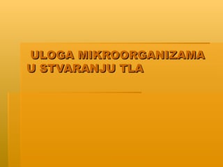 Uloga mikroorganizama u stvaranju tla
