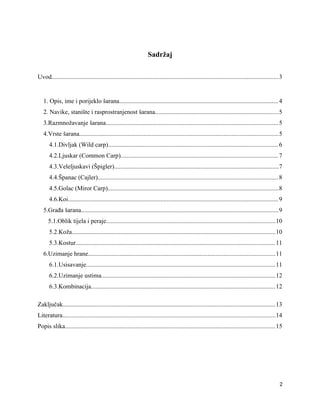 Ribarstvo –  Slatkovodna riba saran