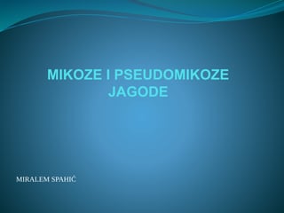 Mikoze i pseudomikoze jagode