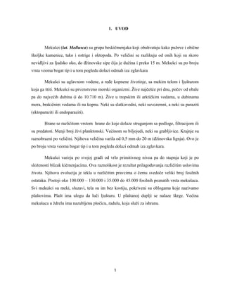 Mekusci – Polyplacophora