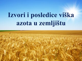 Izvori i posledice viška azota u zemljištu