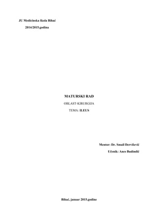 Ileus: maturski rad iz oblasti hirurgije