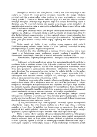 Građa i funkcija mrežnjače (retine)