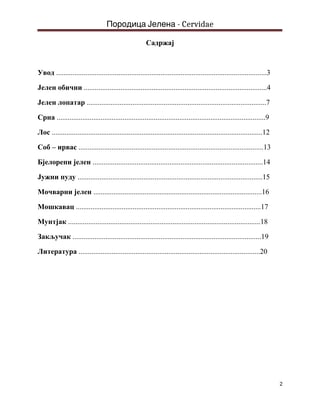 Porodica jelena (cervidae): karakteristike i vrste