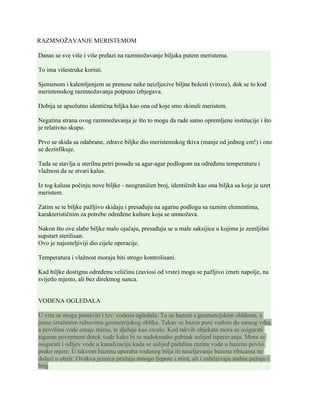 Razmnožavanje meristemom