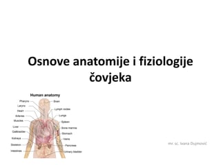 Osnovi anatomije i fiziologije čovjeka