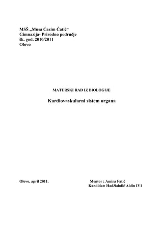 Kardiovaskularni sistem organa