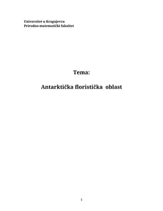 Anarktička floristička oblast