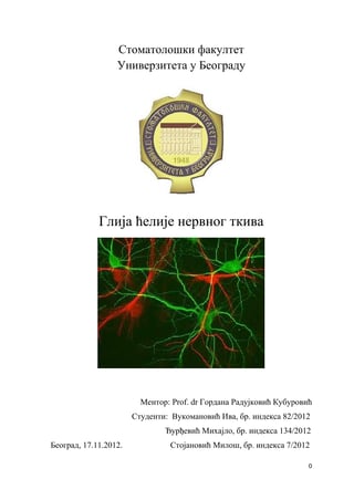 Glija celije nervnog sistema