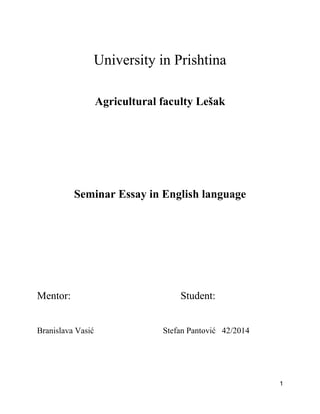 Seminar Essay in English language