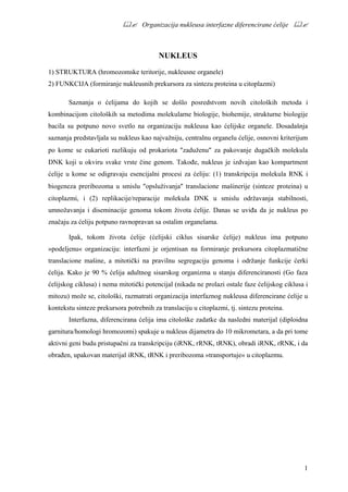 Organizacija nukleusa interfazne diferencirane ćelije