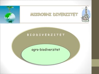 Diverzitet bakterija