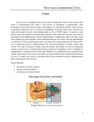 Culo sluha i ravnoteze