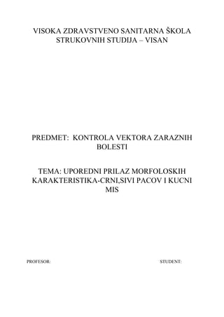 Uporedni prilaz morfoloških karakteristika: crni, sivi pacov i kućni miš