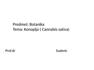 Konoplja (cannabis sativa): sistematika, morfologija, biologija i ekologija