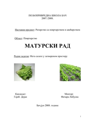 Nega salate u zatvorenom prostoru