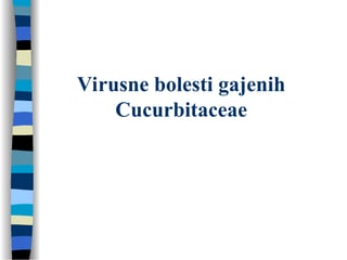 Virusne bolesti gajenih Cucurbitaceae