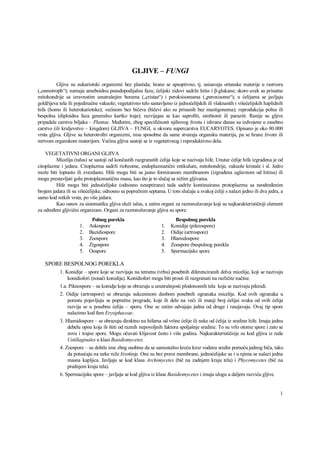 Gljive (fungi): sistematika, reprodukcija i klasifikacija