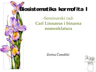 Biosistematika kormofita