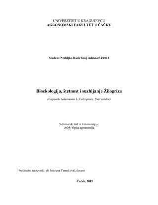 Bioekologija, štetnost i suzbijanje Žilogriza