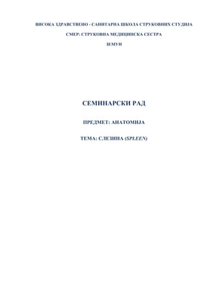 Slezina (spleen): anatomski aspekti, uloga i bolesti