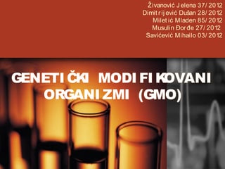 Genetički Modifikovani Organizmi(GMO)